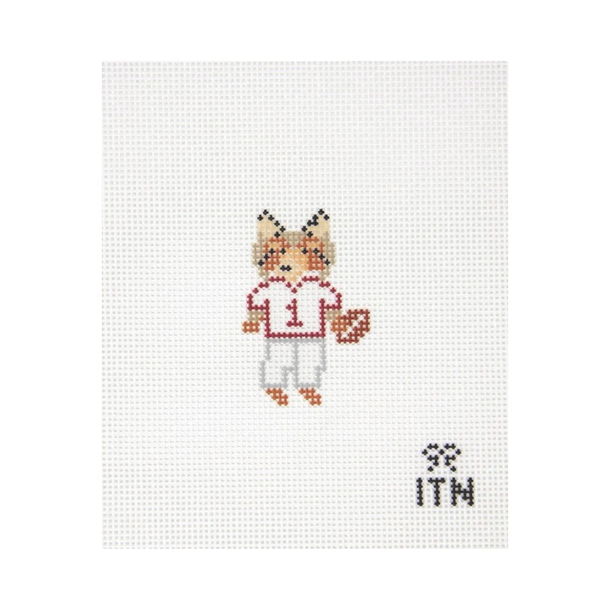 Mini Collie Football Friend