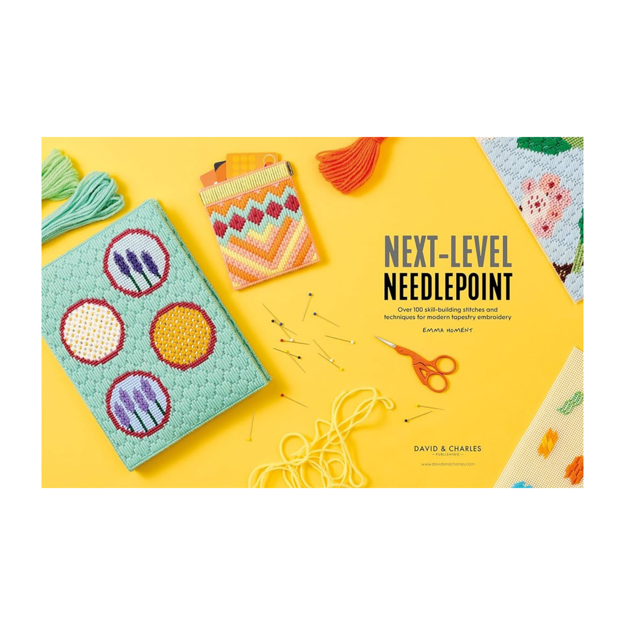 Next-Level Needlepoint — 100+ Decorative Stitches & Projects